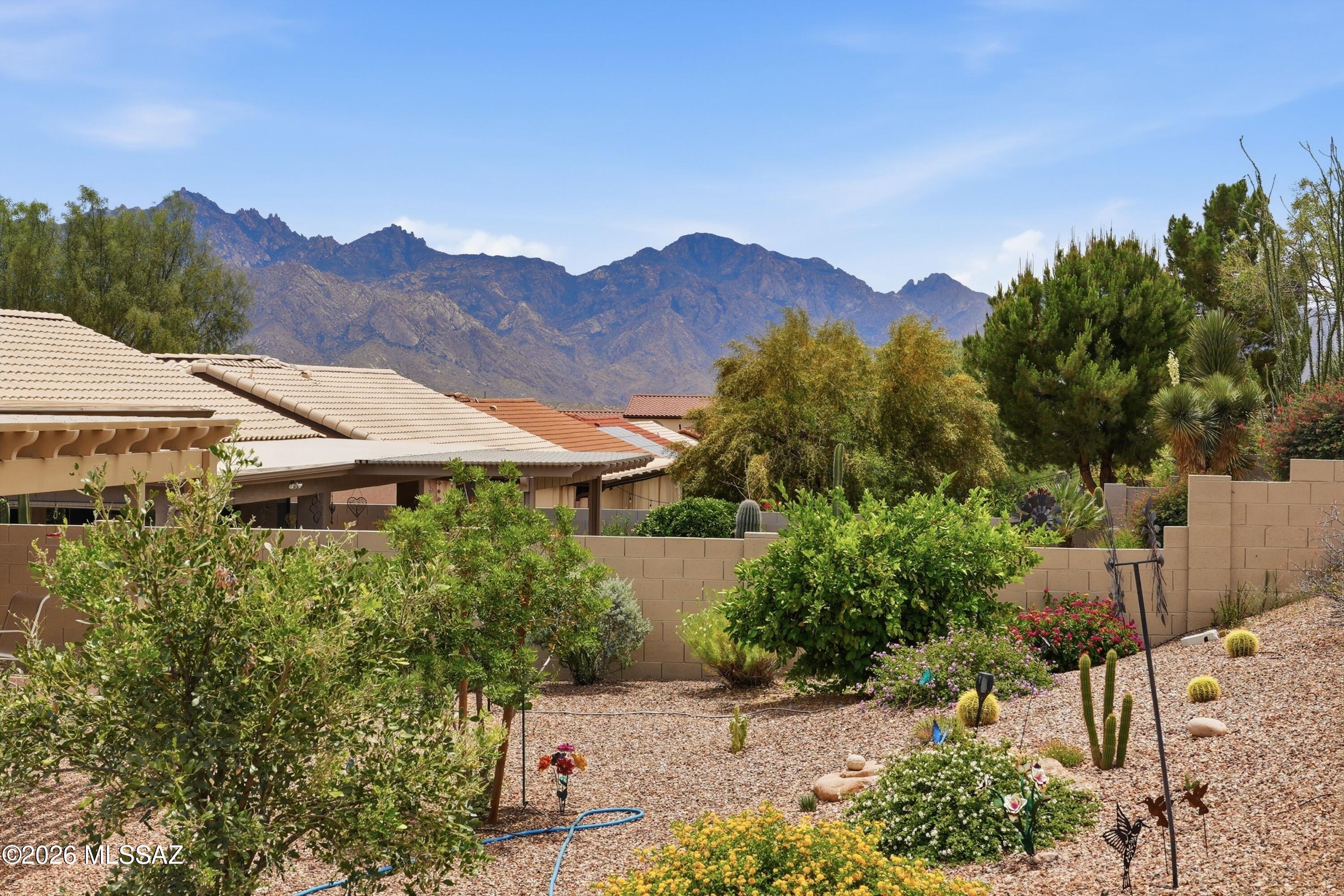 Saddlebrooke - Residential Lease