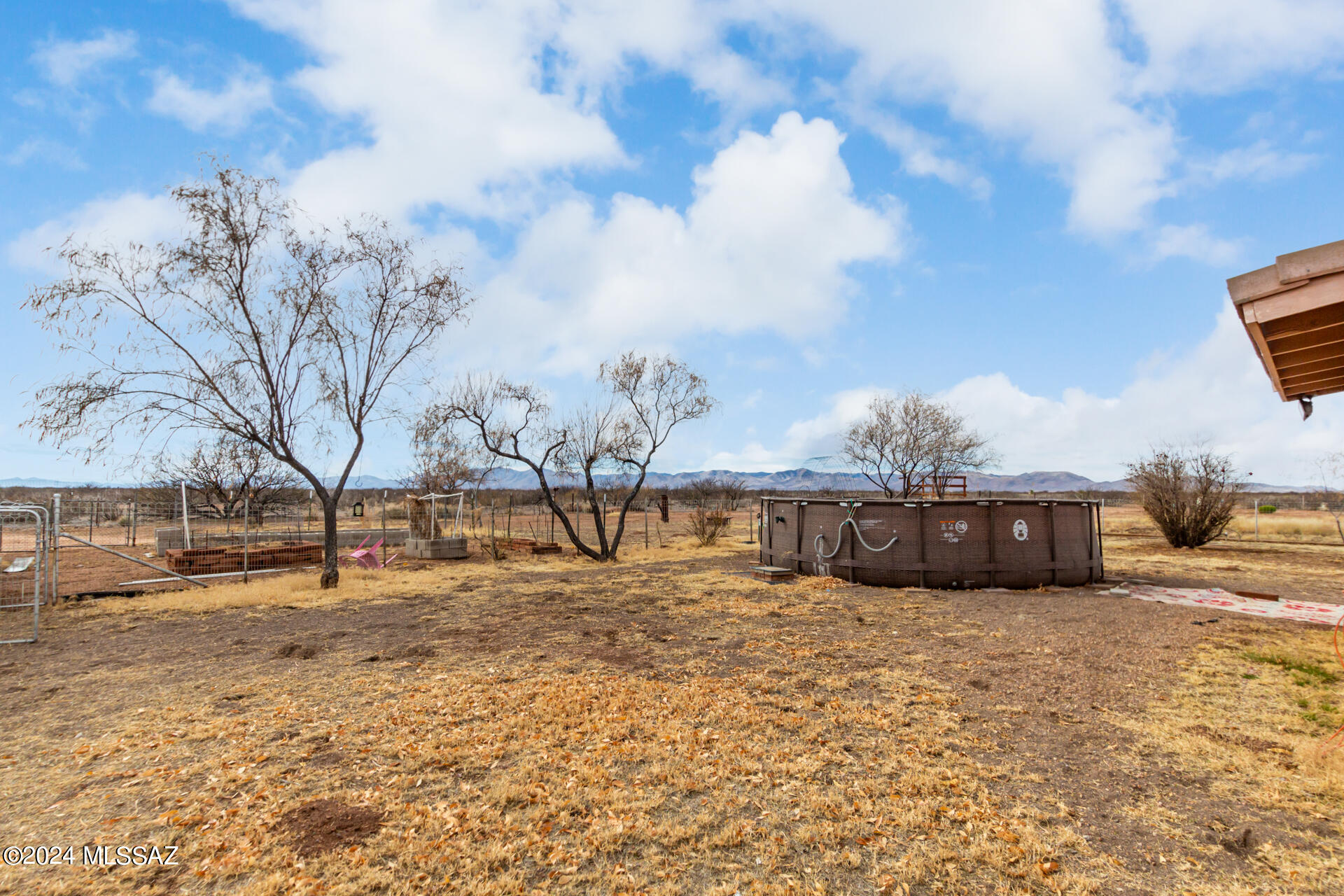 Out Of Pima County - Farm