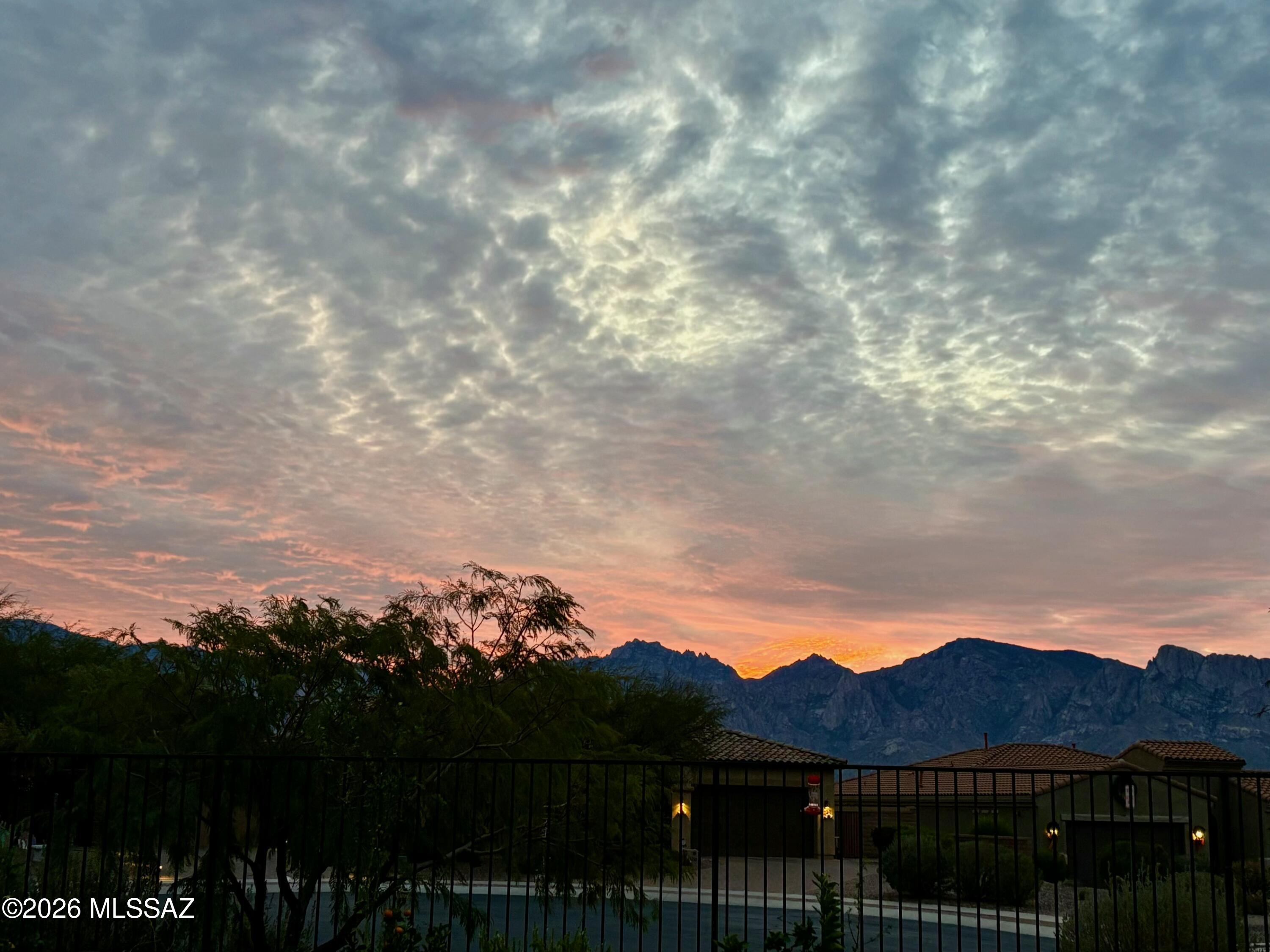 13220 N Fluffgrass Place