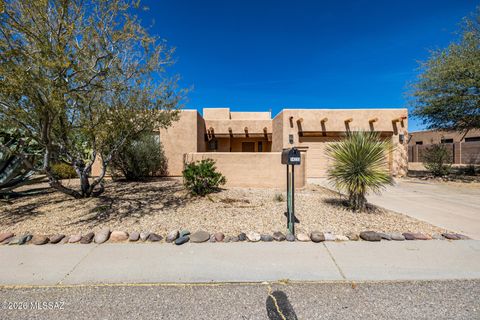 14233 E Placita De La Zurita Vail AZ 85641