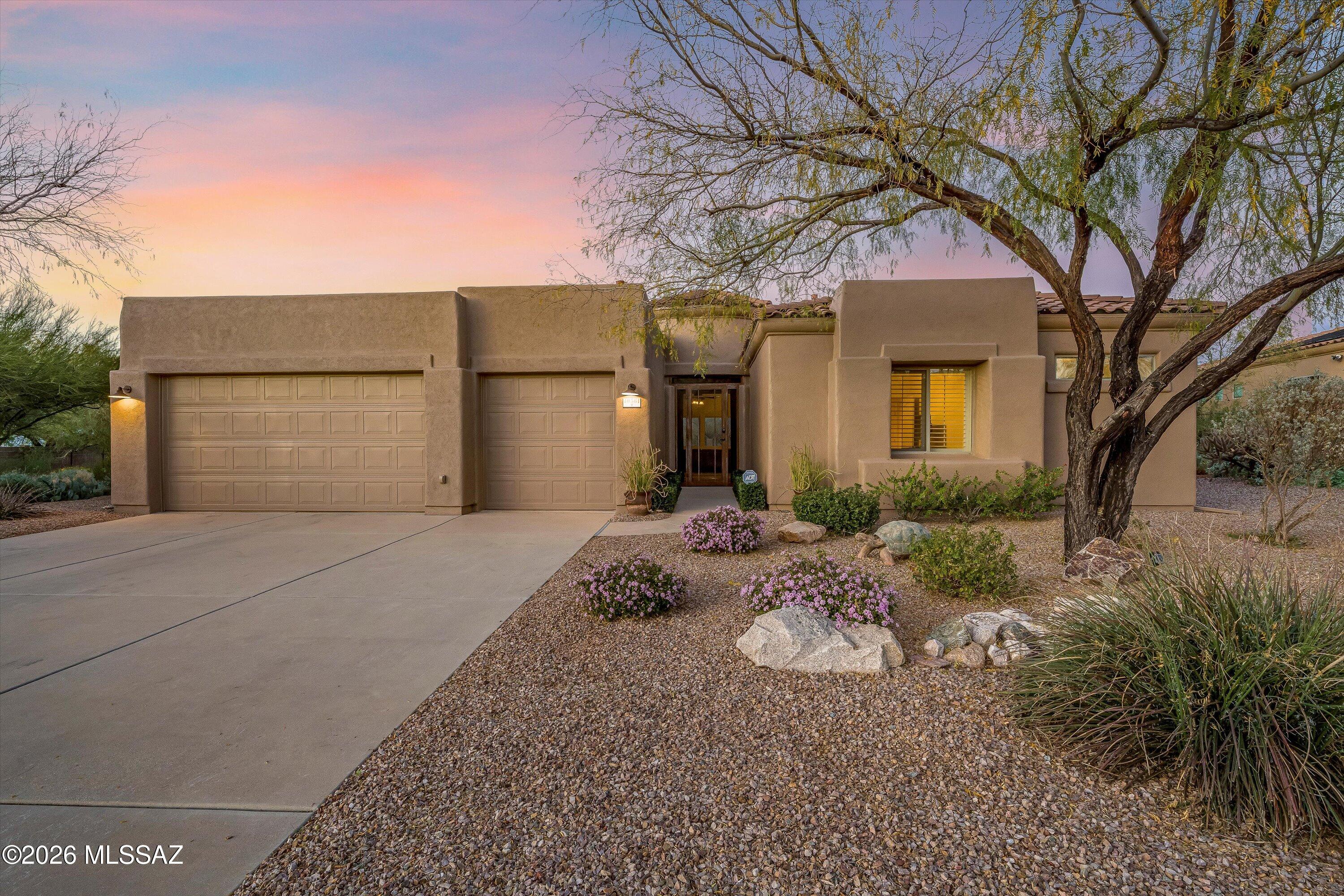 10561 S Coyote Melon Loop