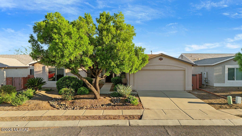 10131 E Hummingbird Meadow Way