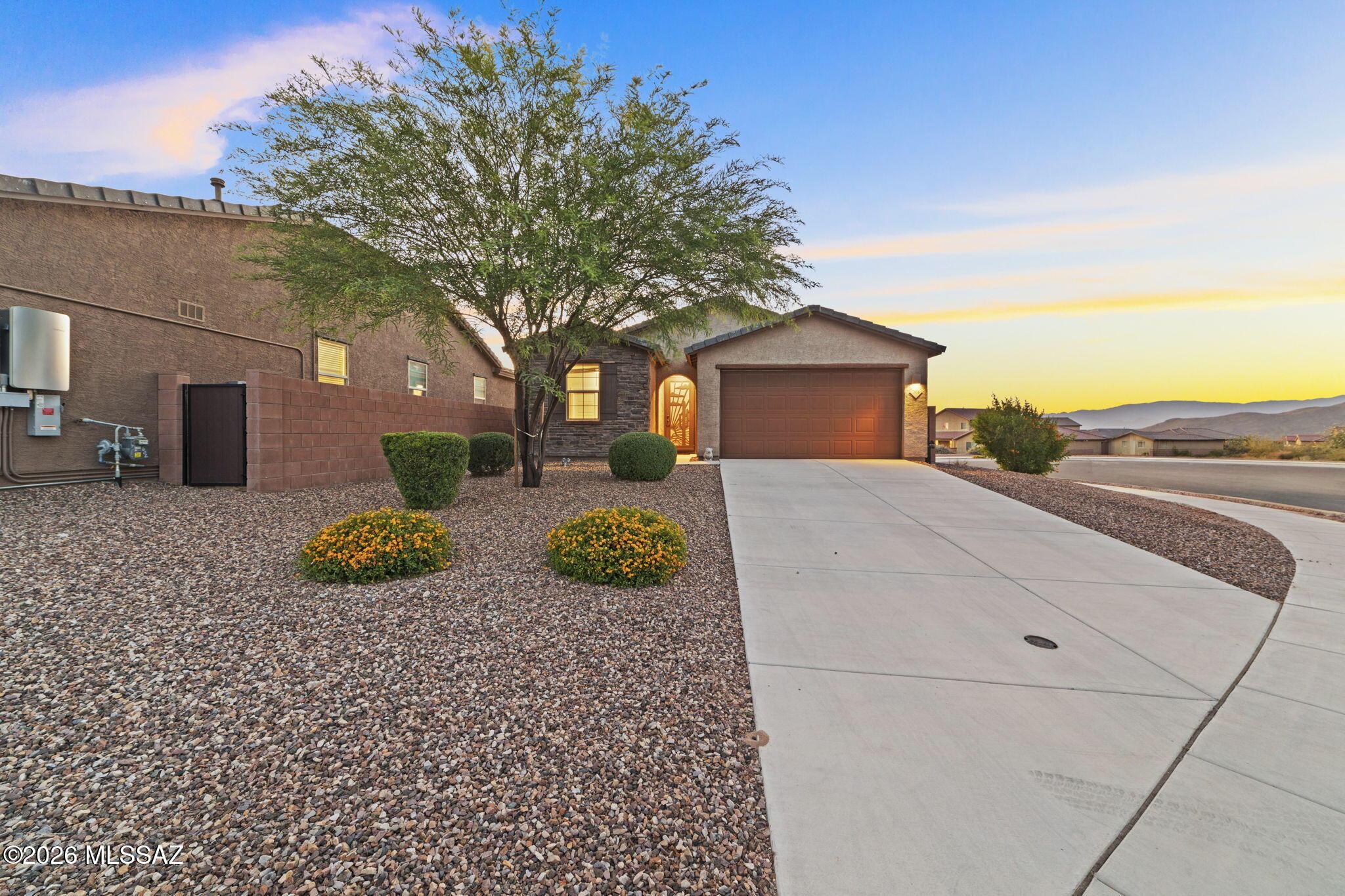 7956 S Silver Lillie Way