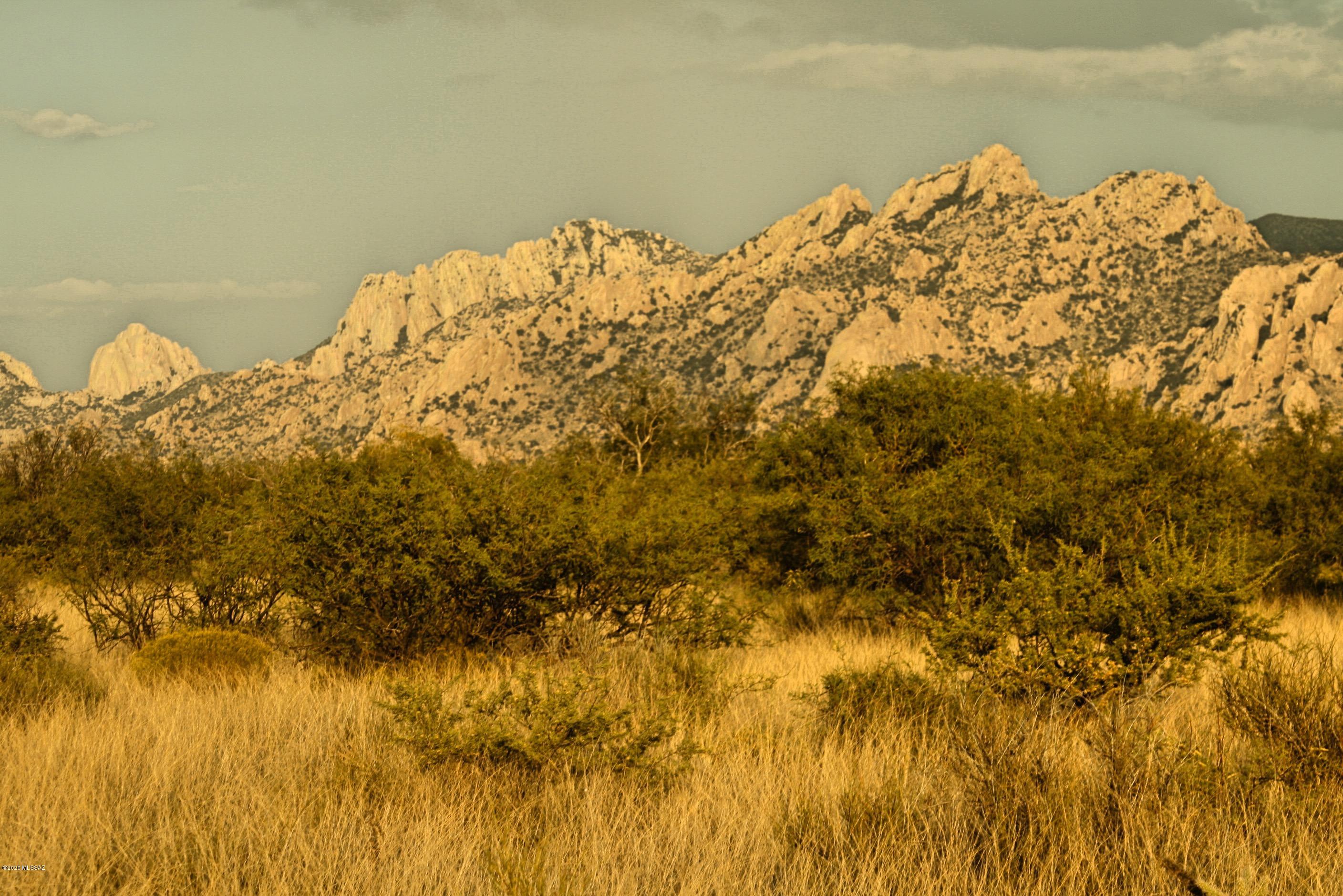Dragoon Mountain Ranch - Land