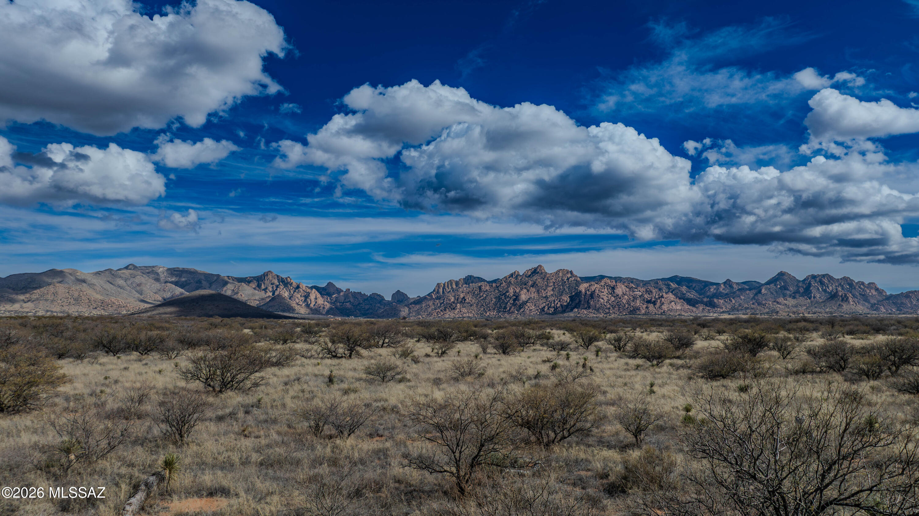 Dragoon Mountain Ranch - Land