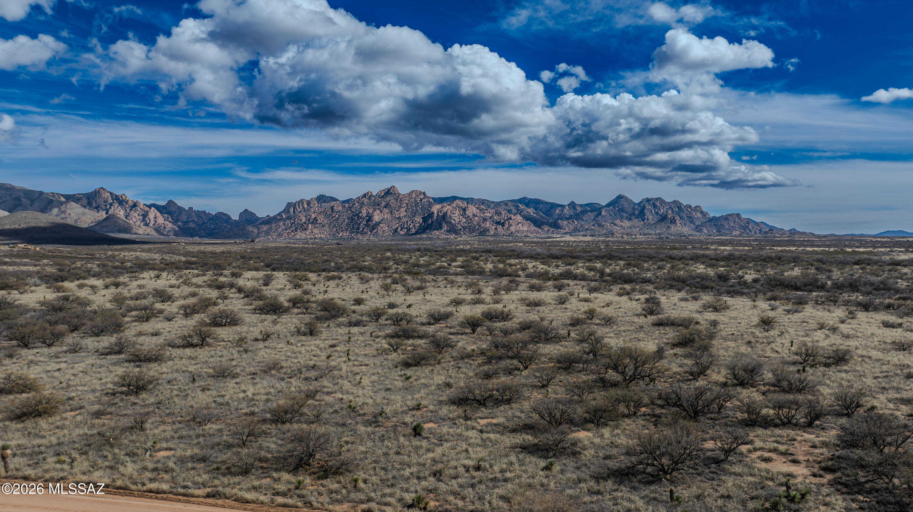 Dragoon Mountain Ranch - Land