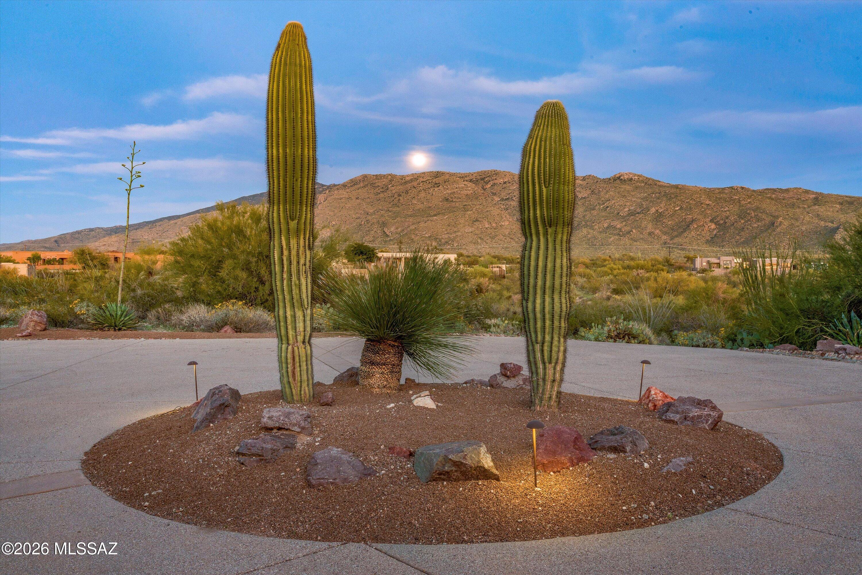 Saguaro Monument Estates - Residential