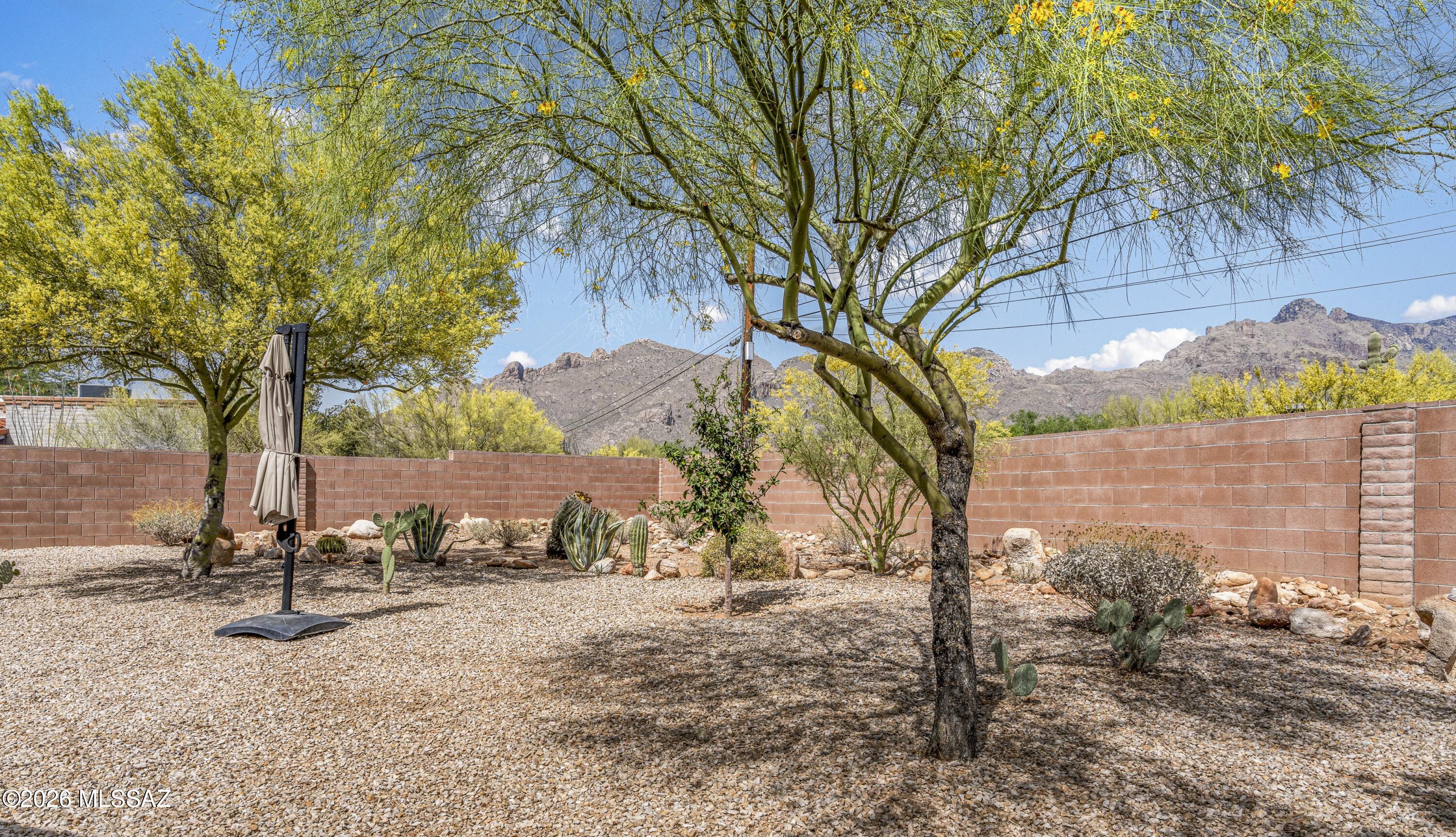 6502 N Calle De Estevan