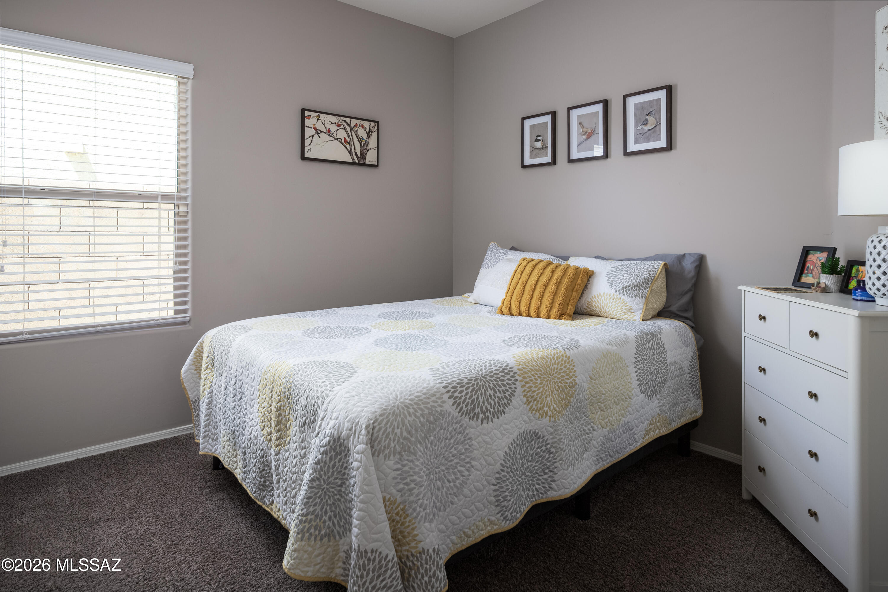 Saguaro Springs Block 4 (400-611) - Residential