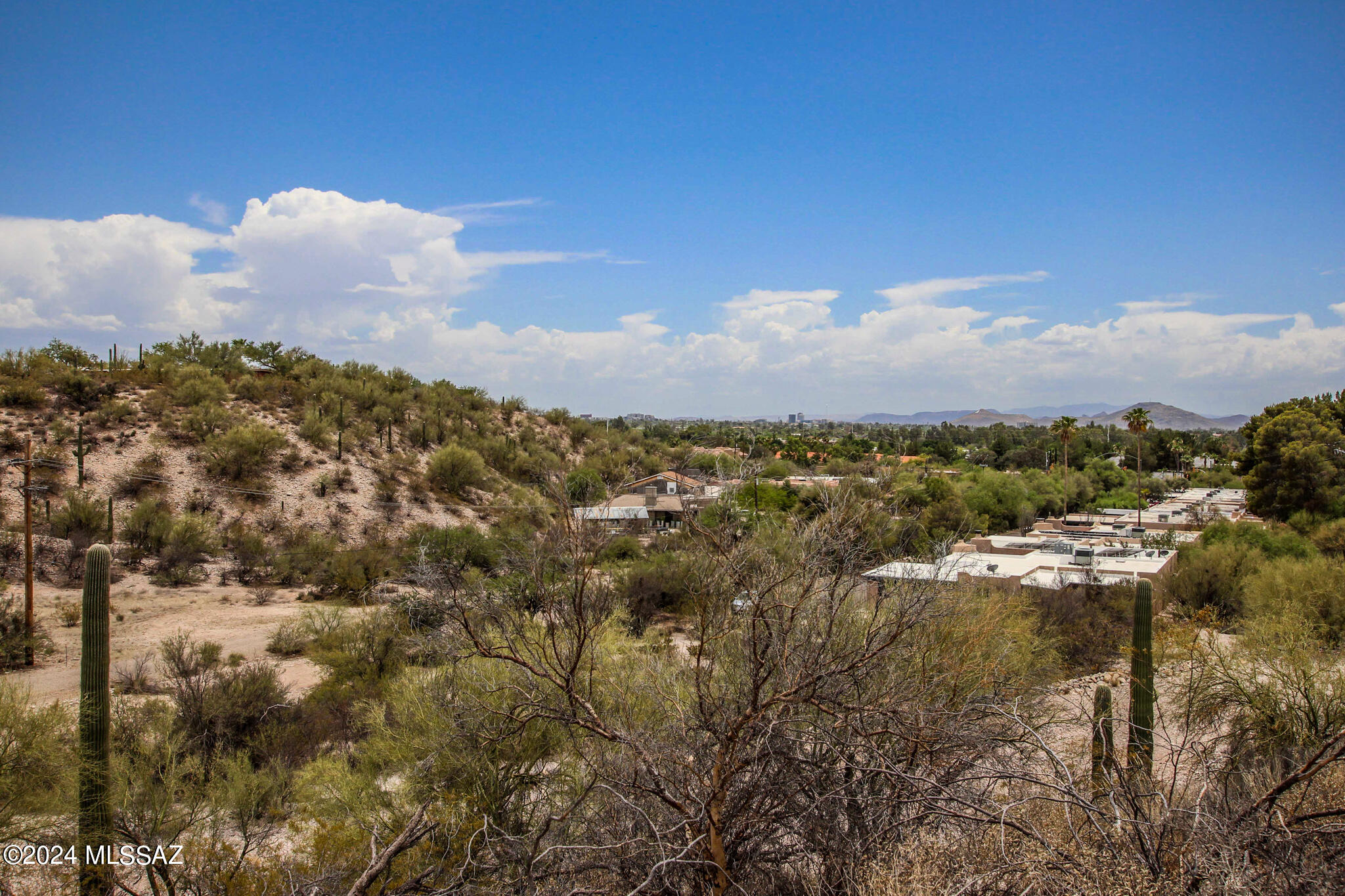 4825 N Calle Lampara N