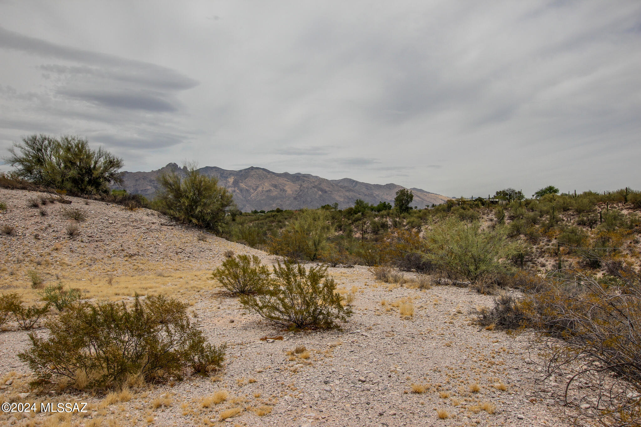 4825 N Calle Lampara N