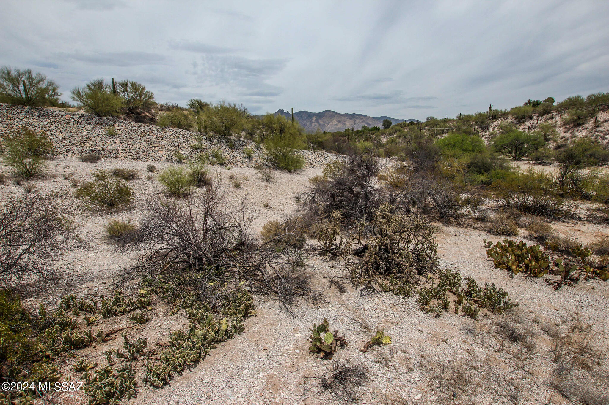 4825 N Calle Lampara N