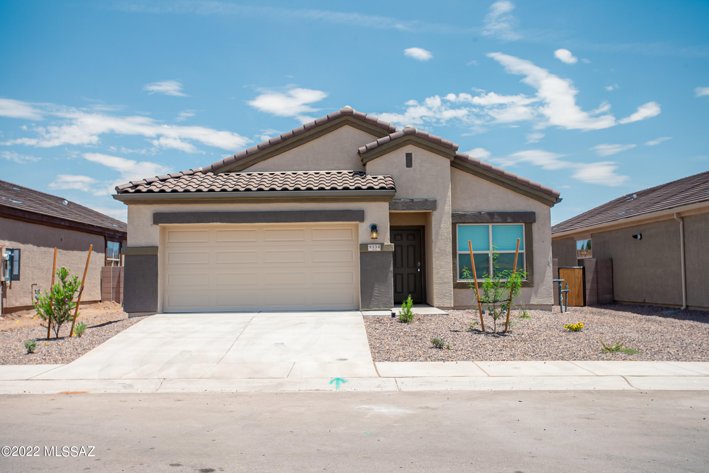 Saguaro Bloom SQ20180540069 - Residential
