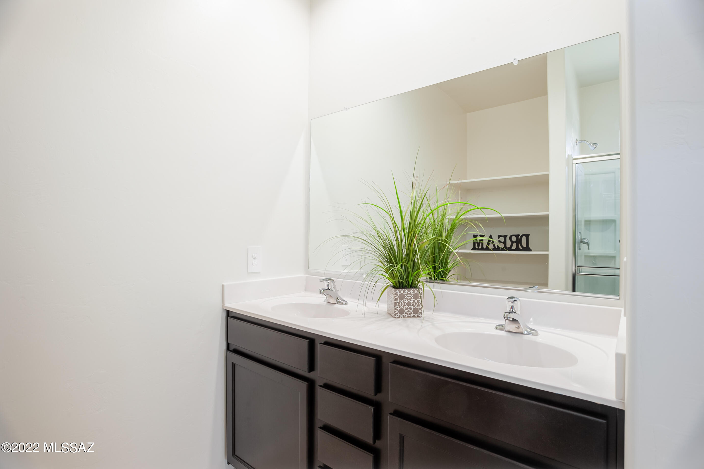 Saguaro Bloom SQ20180540069 - Residential
