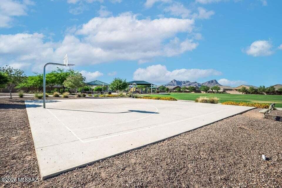 Saguaro Bloom SQ20180540069 - Residential