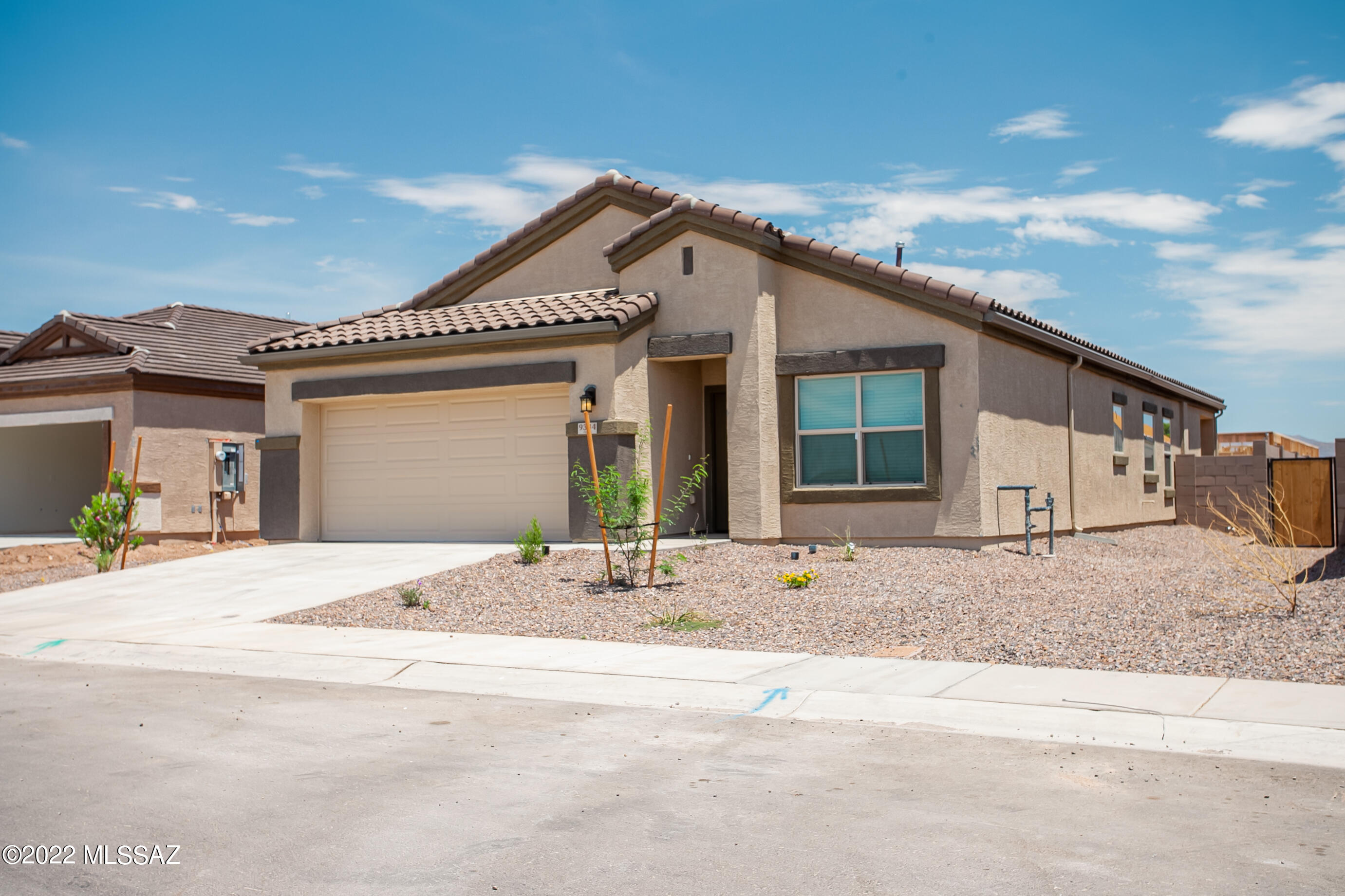 Saguaro Bloom SQ20180540069 - Residential