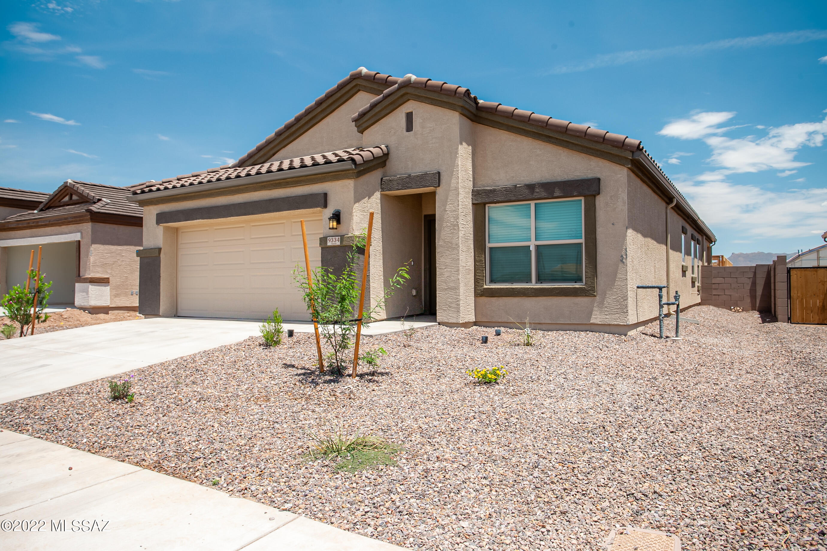 Saguaro Bloom SQ20180540069 - Residential