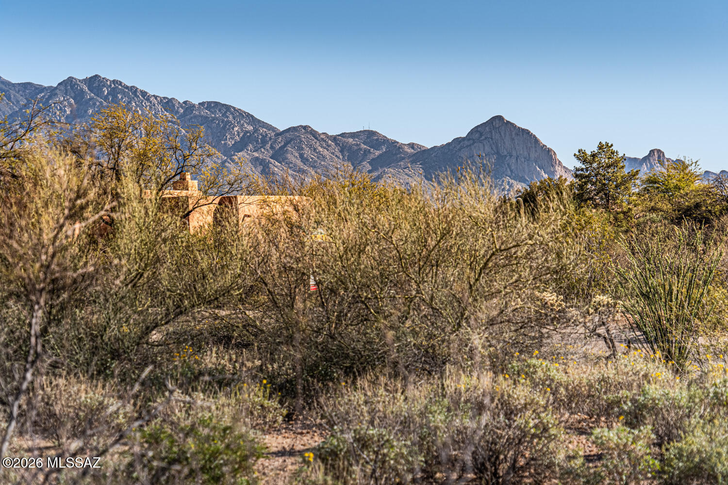 Madera Reserve Phase I(1-130) - Land