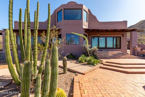 4051 W Anklam Road Tucson AZ 85745