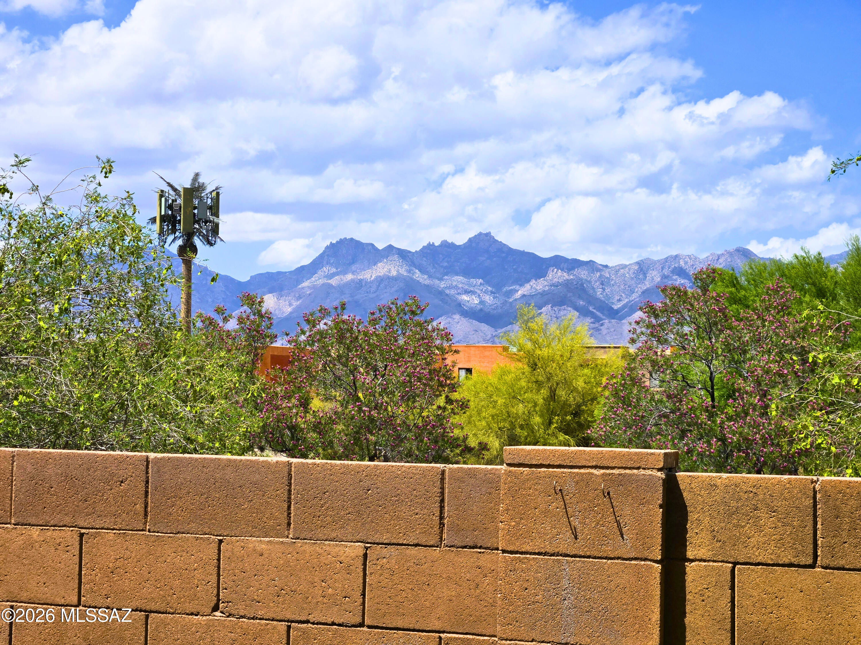 9579 E Corte Del Sol Brillante