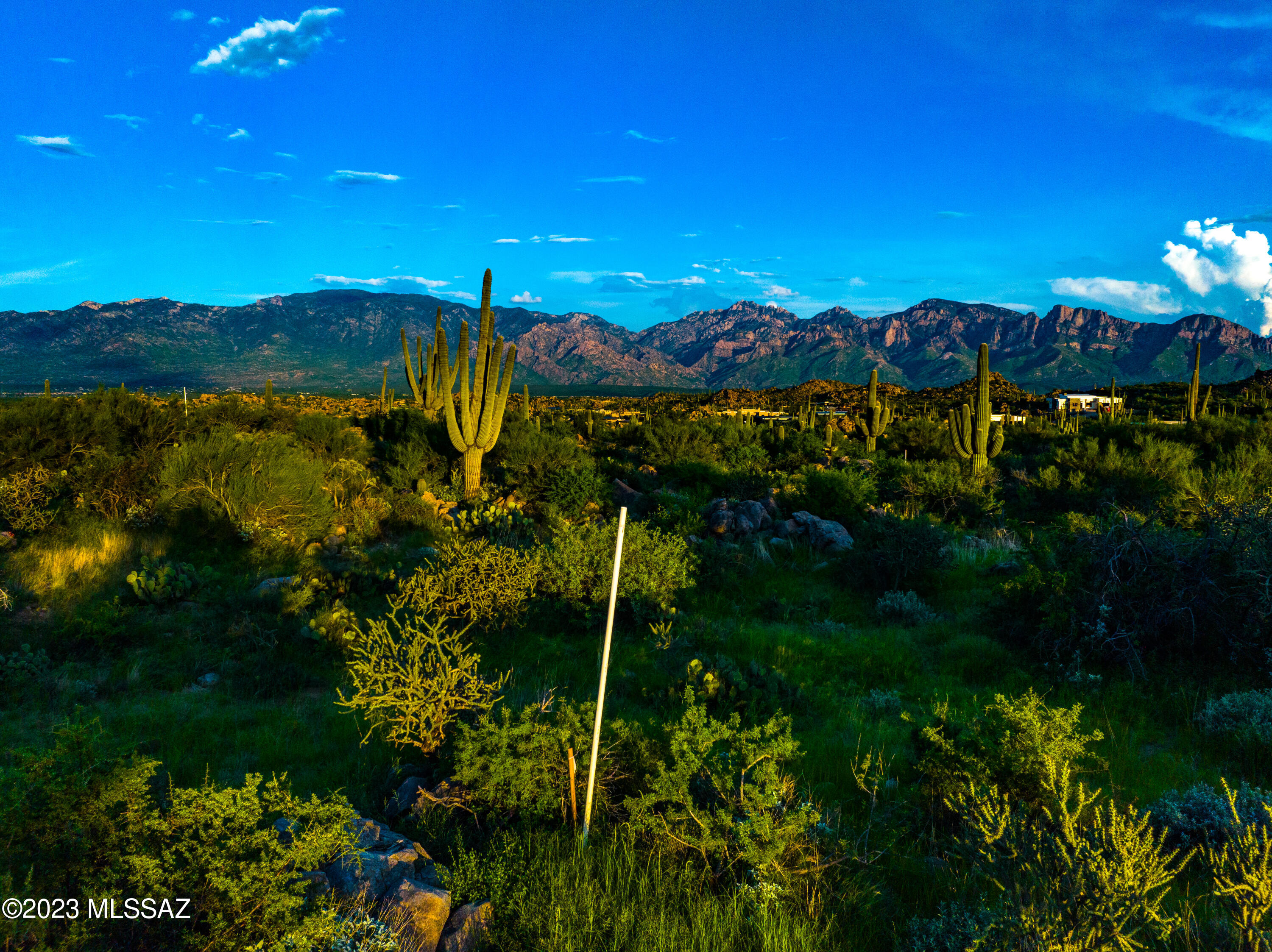 14953 N Slippery Ridge Loop Lot 478