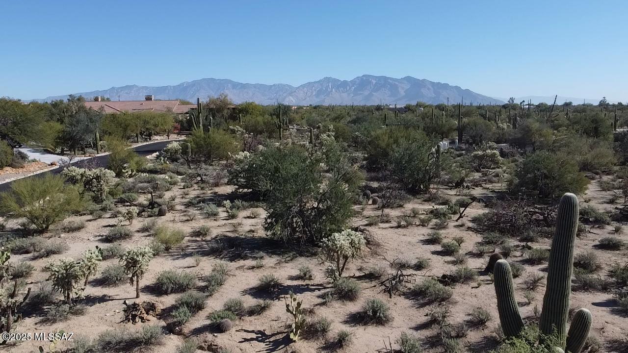 5151 W Camino De Manana