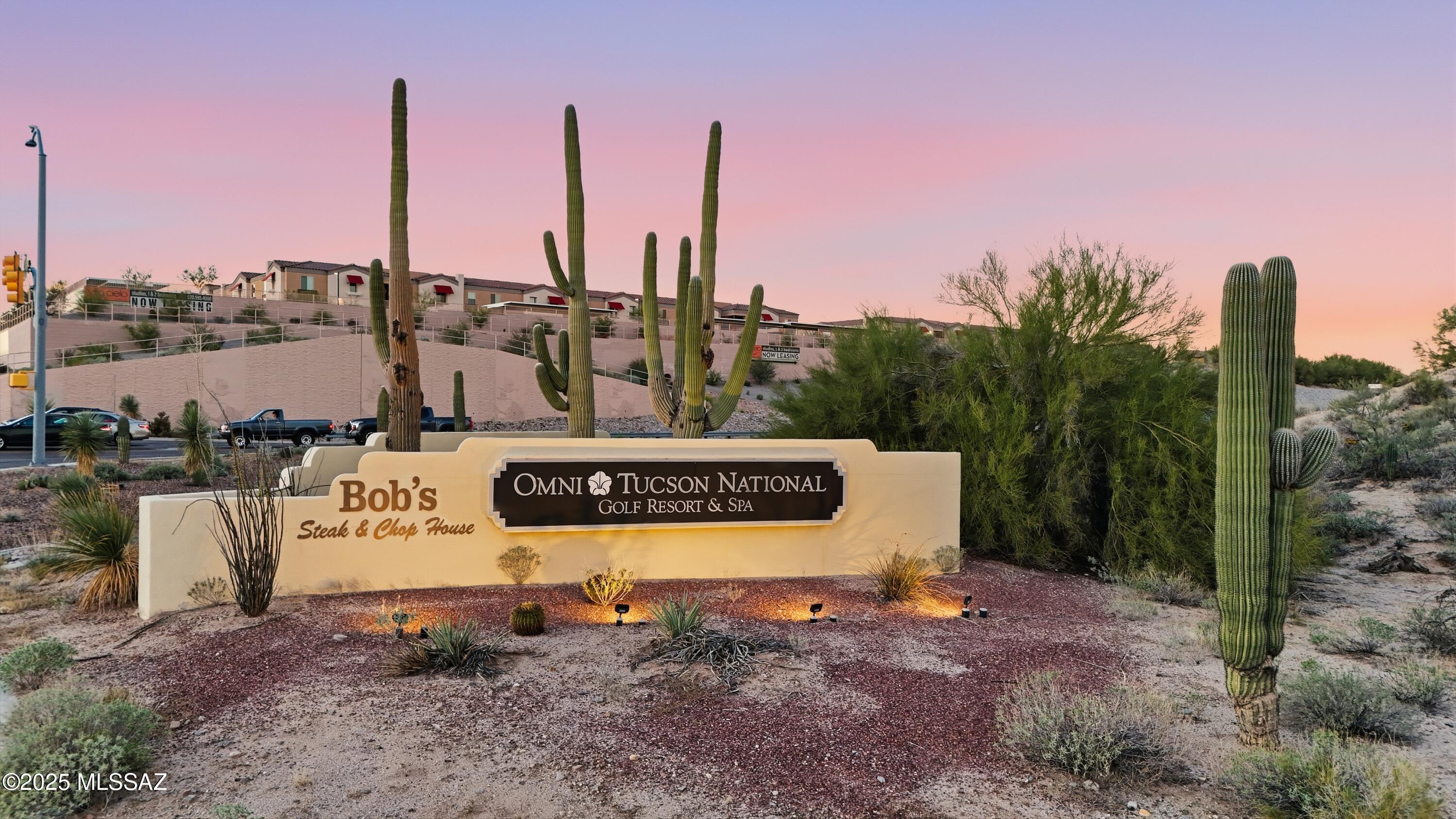 The Hills at Tucson National (1-20) - Residential