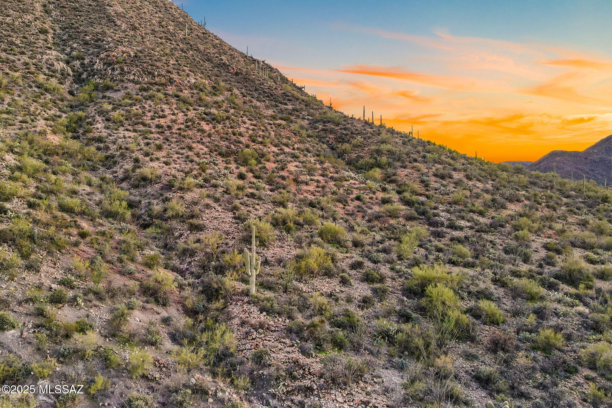 Twin Hills Estates (1-28) - Land