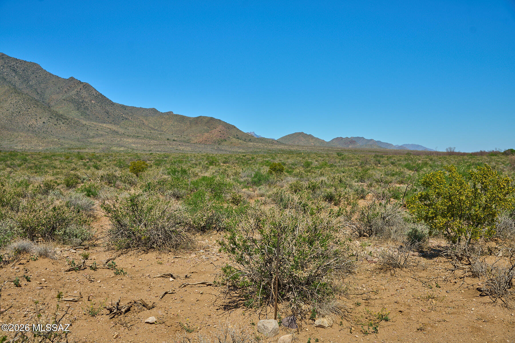 Out Of Pima County - Land