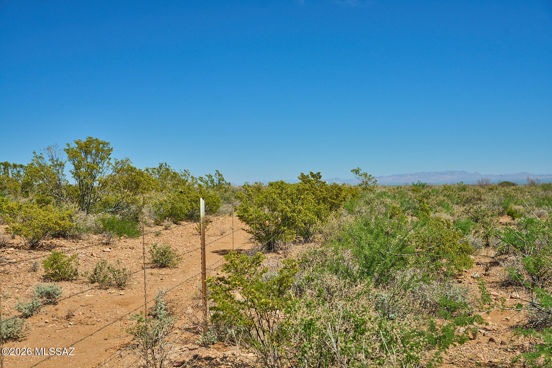 Out Of Pima County - Land