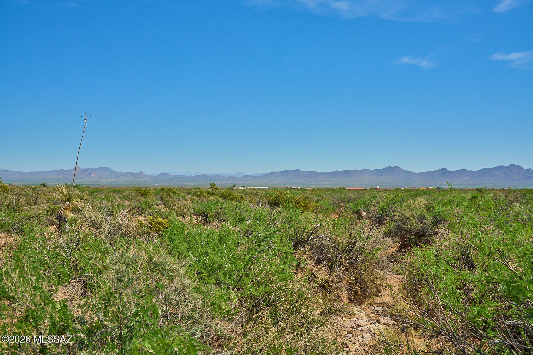 Out Of Pima County - Land