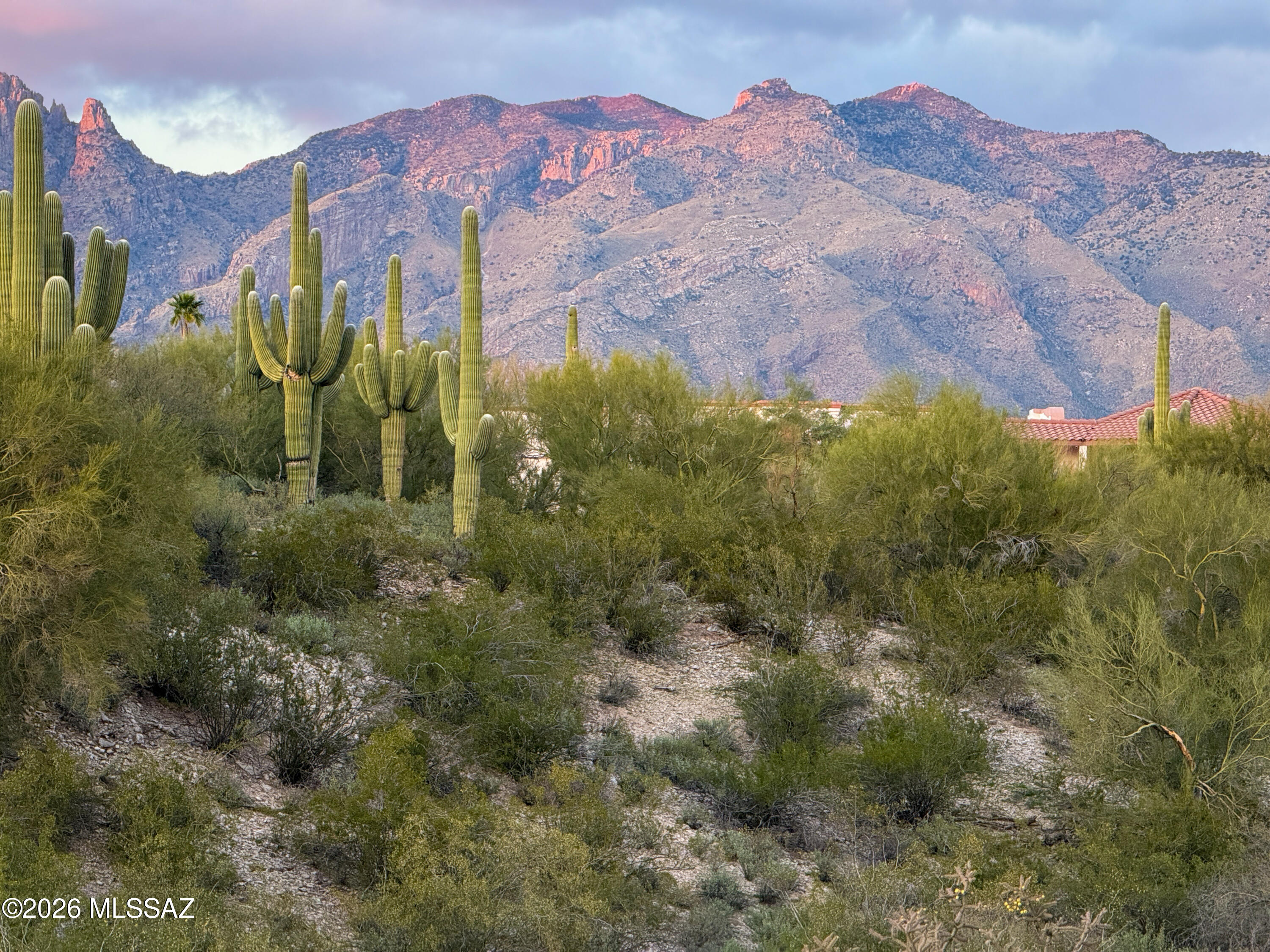 3961 E San Simeon Drive