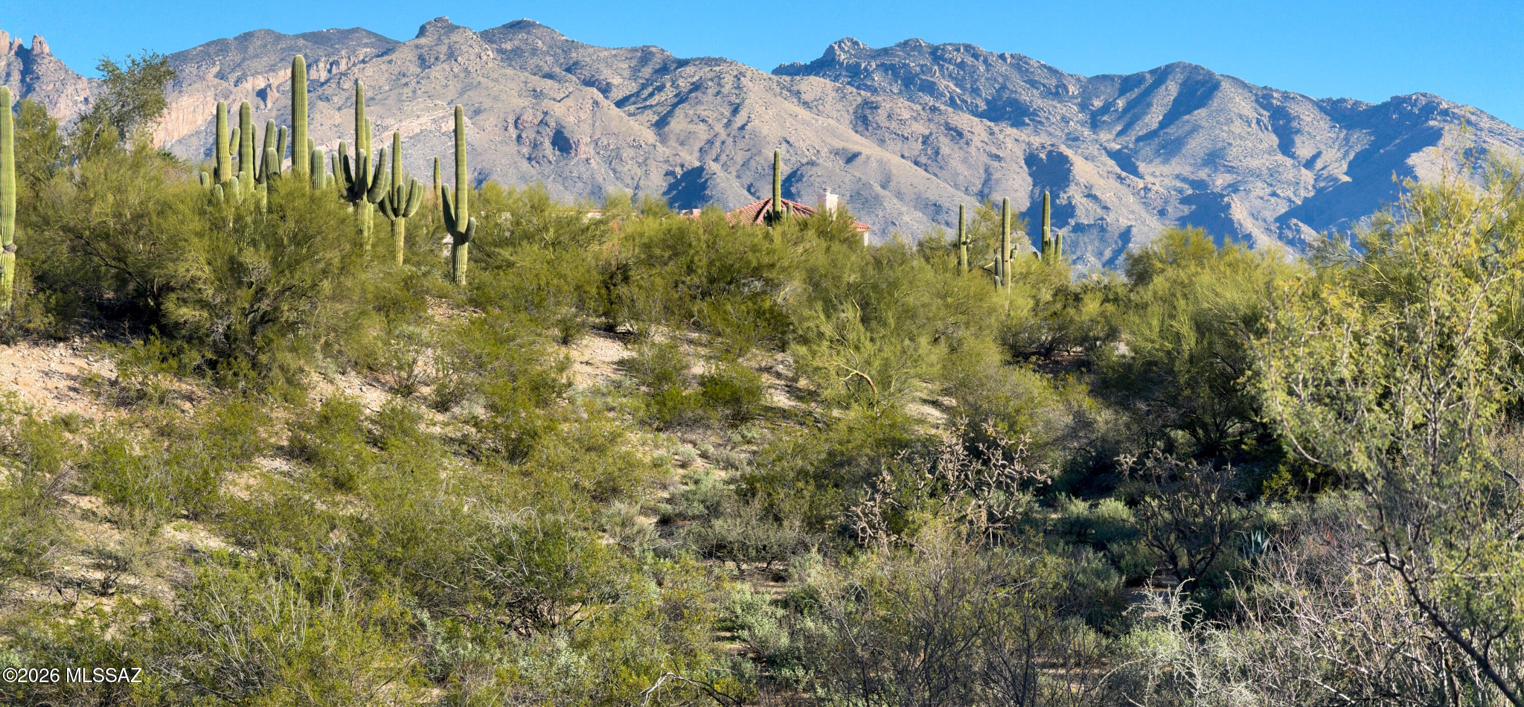 3961 E San Simeon Drive