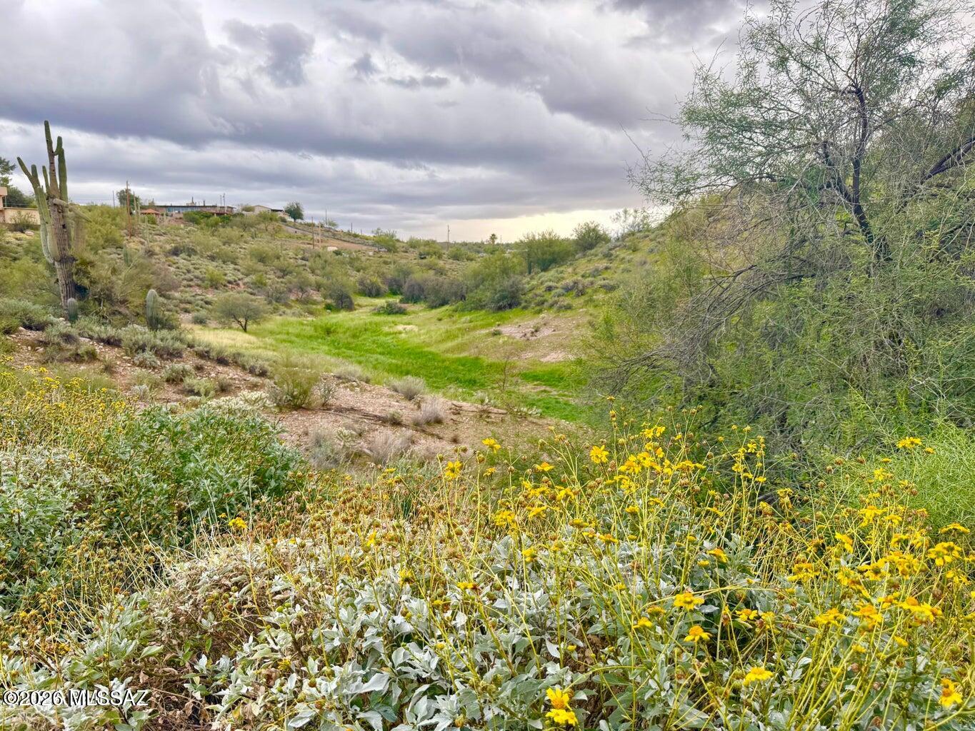 Out Of Pima County - Land