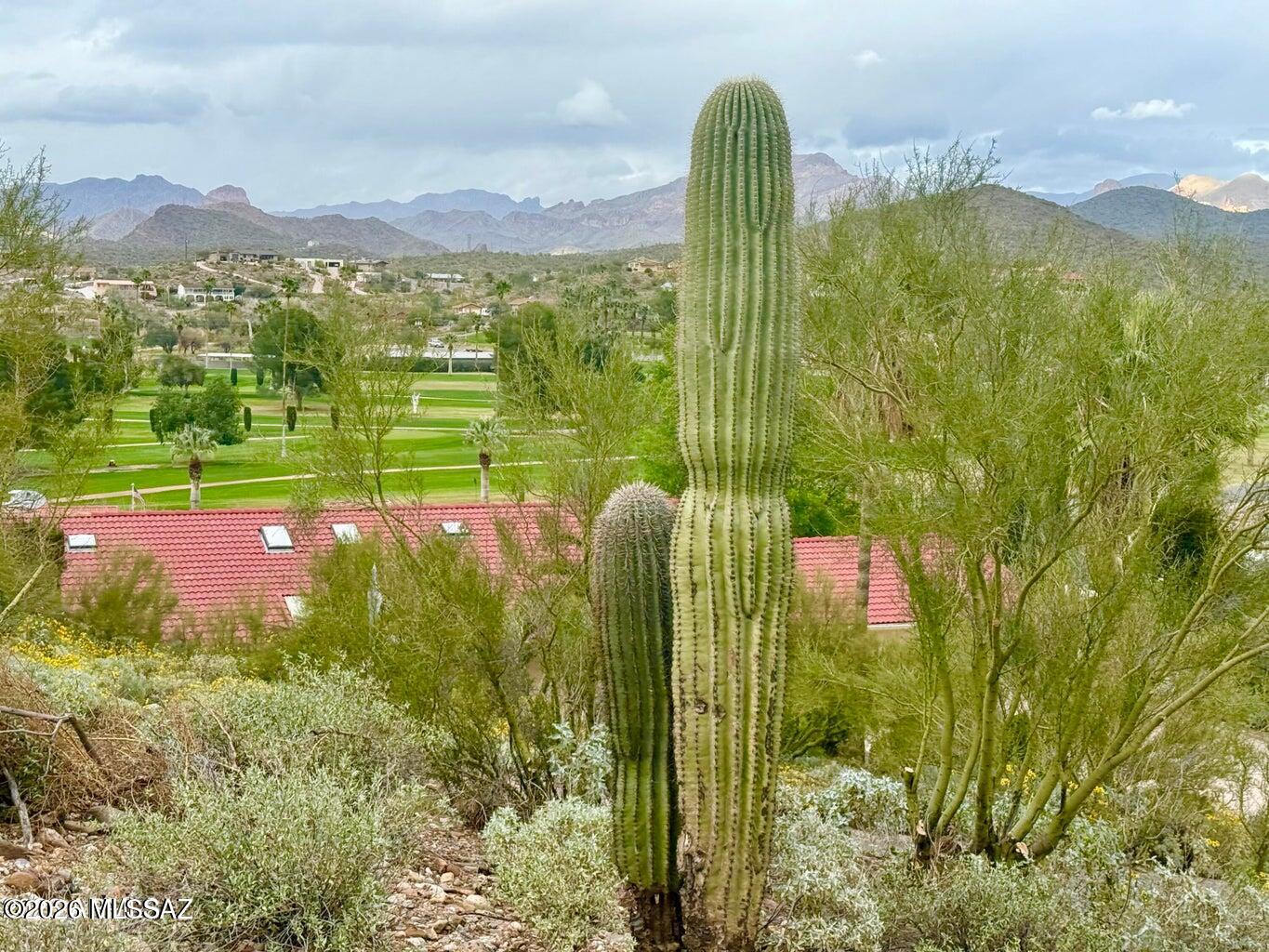 Out Of Pima County - Land