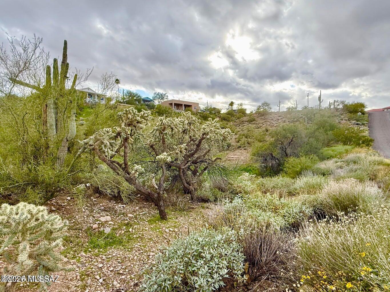 Out Of Pima County - Land