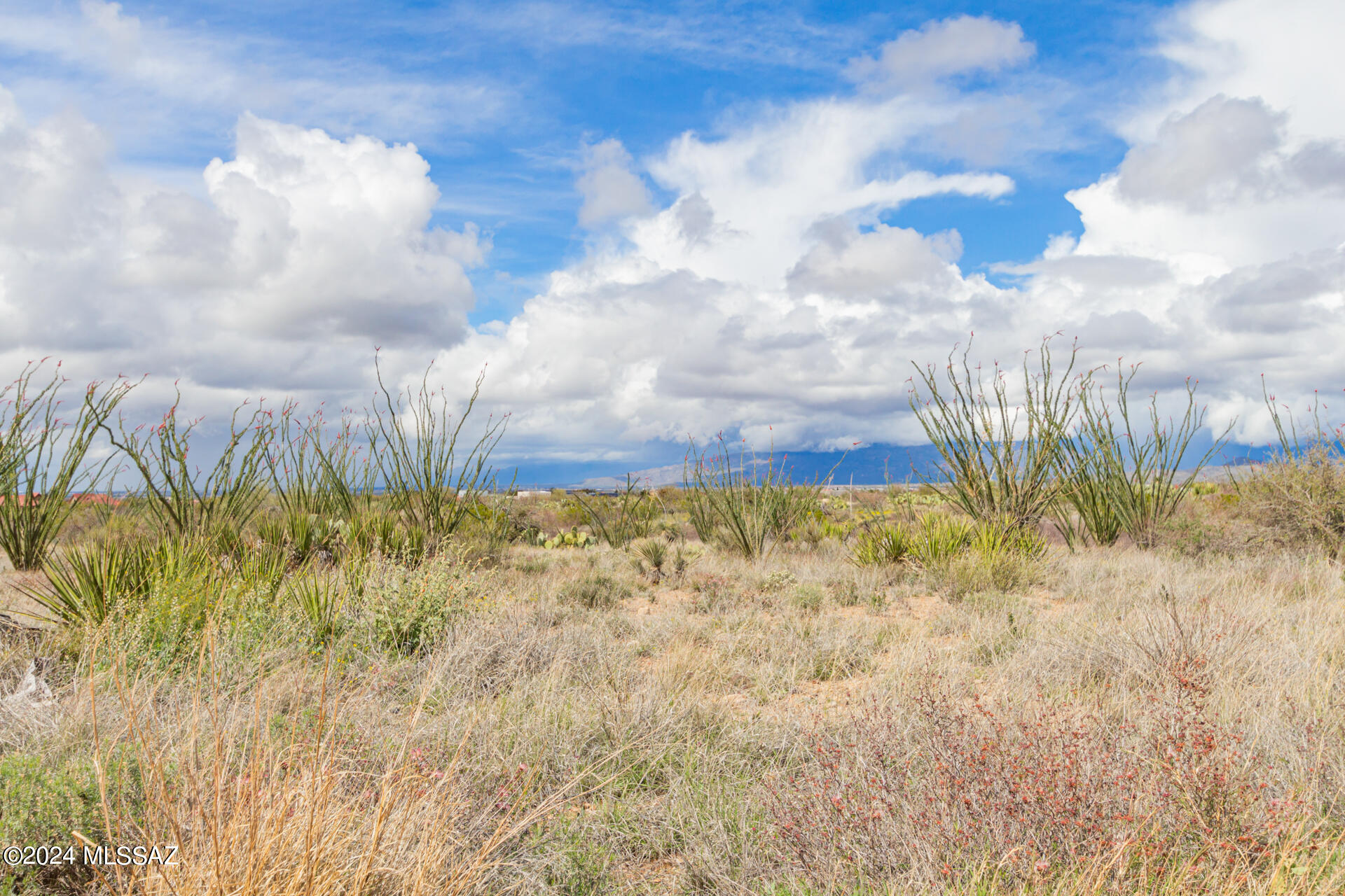 New Tucson Unit NO. 28 - Land