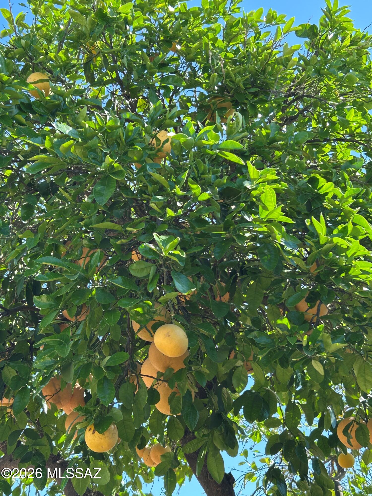 1002 N Caribe Avenue