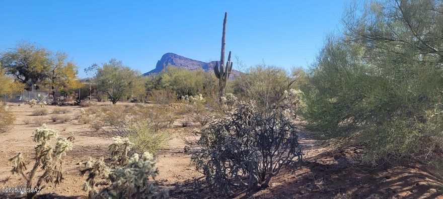 Nicely vegetated flat 1+ acre undeveloped lot in beautiful Picture Rocks, 15 minutes west of Ina/I-10. Gorgeous views of Panther Peak and beautiful sunsets. Fenced on 3 sides. Ready for your dreams!