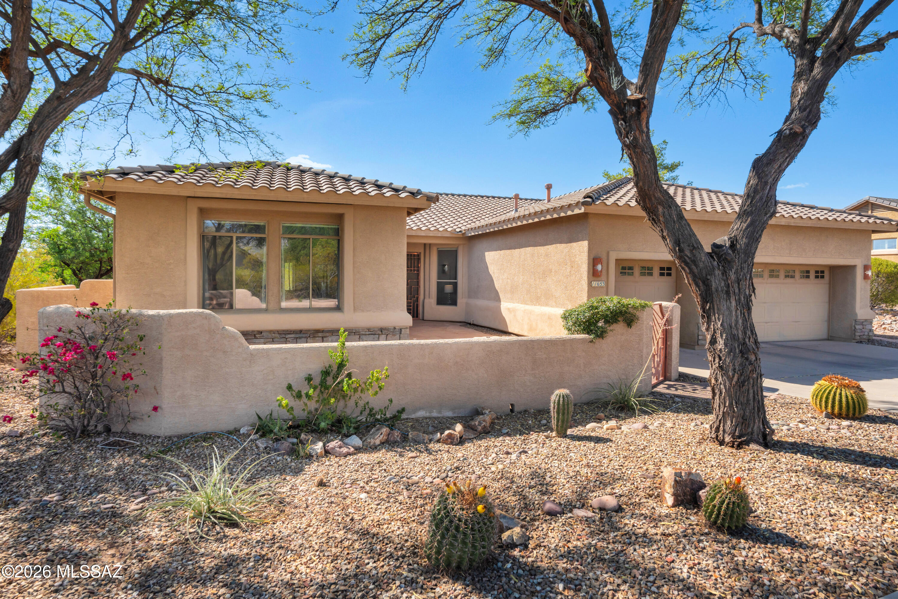 11653 N Desert Holly Drive