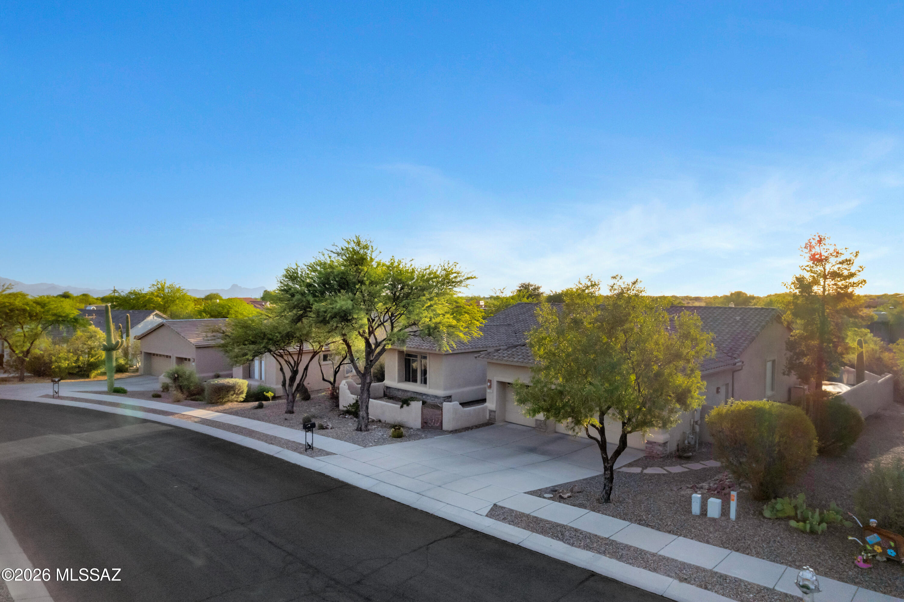 11653 N Desert Holly Drive