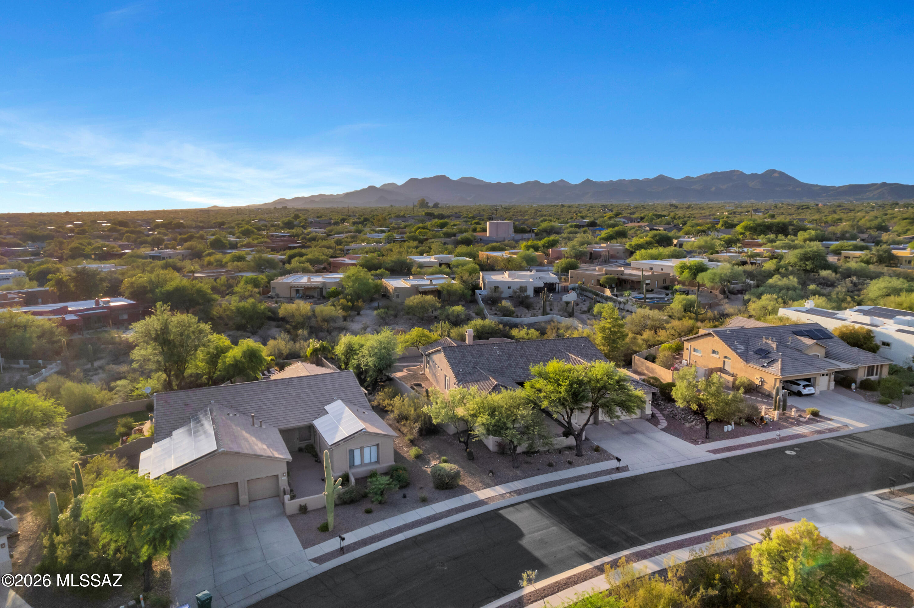 11653 N Desert Holly Drive