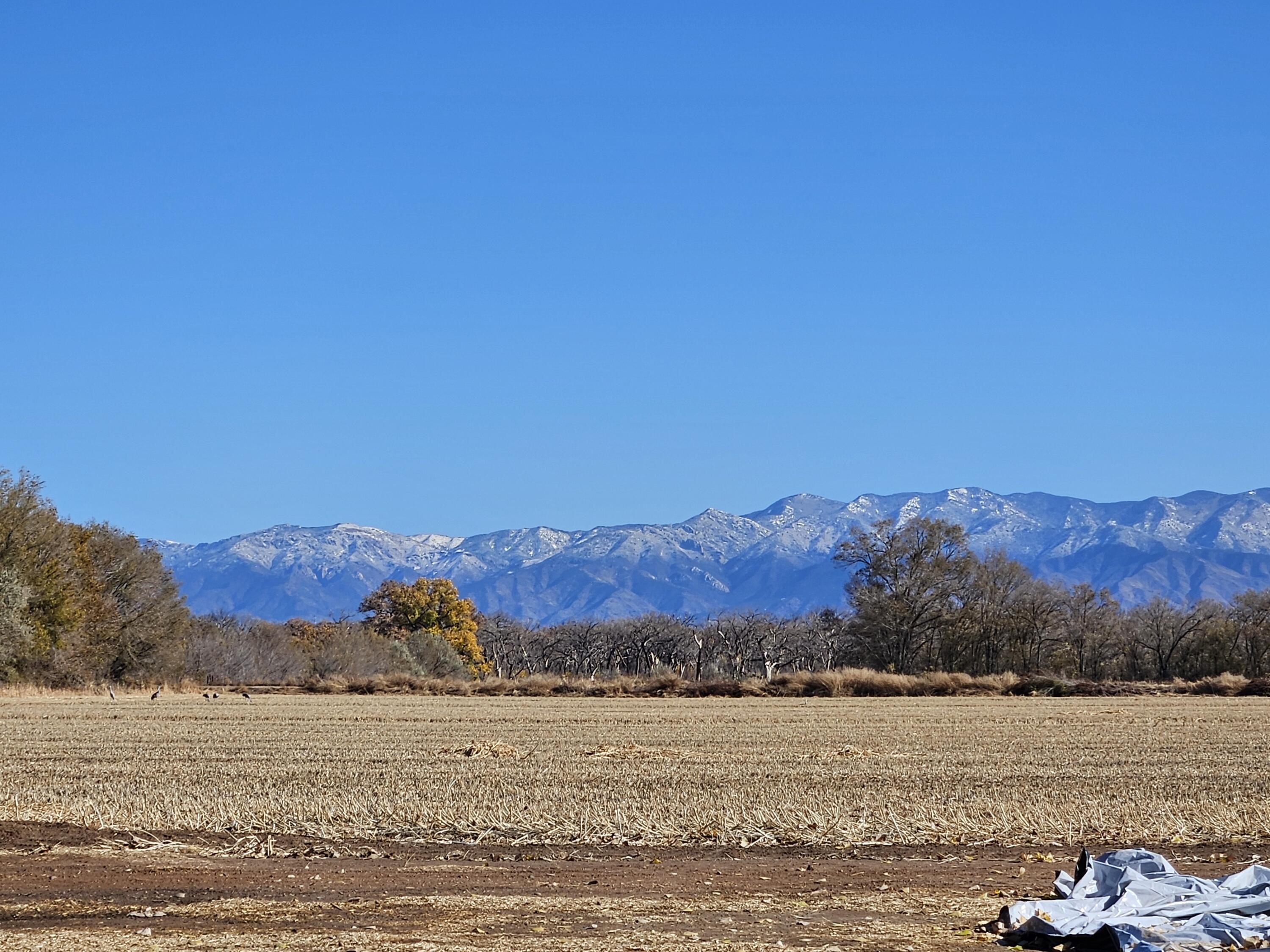 740 Gabaldon Road, Belen, New Mexico image 3