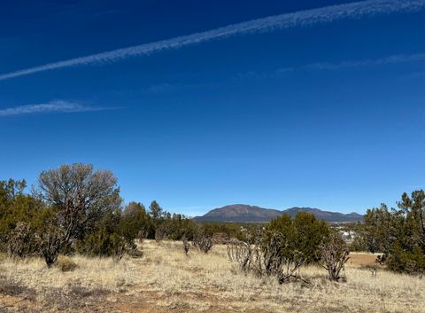 Vacant Land For Sale - 12 Wildwood Drive<br/> Edgewood, NM 87015