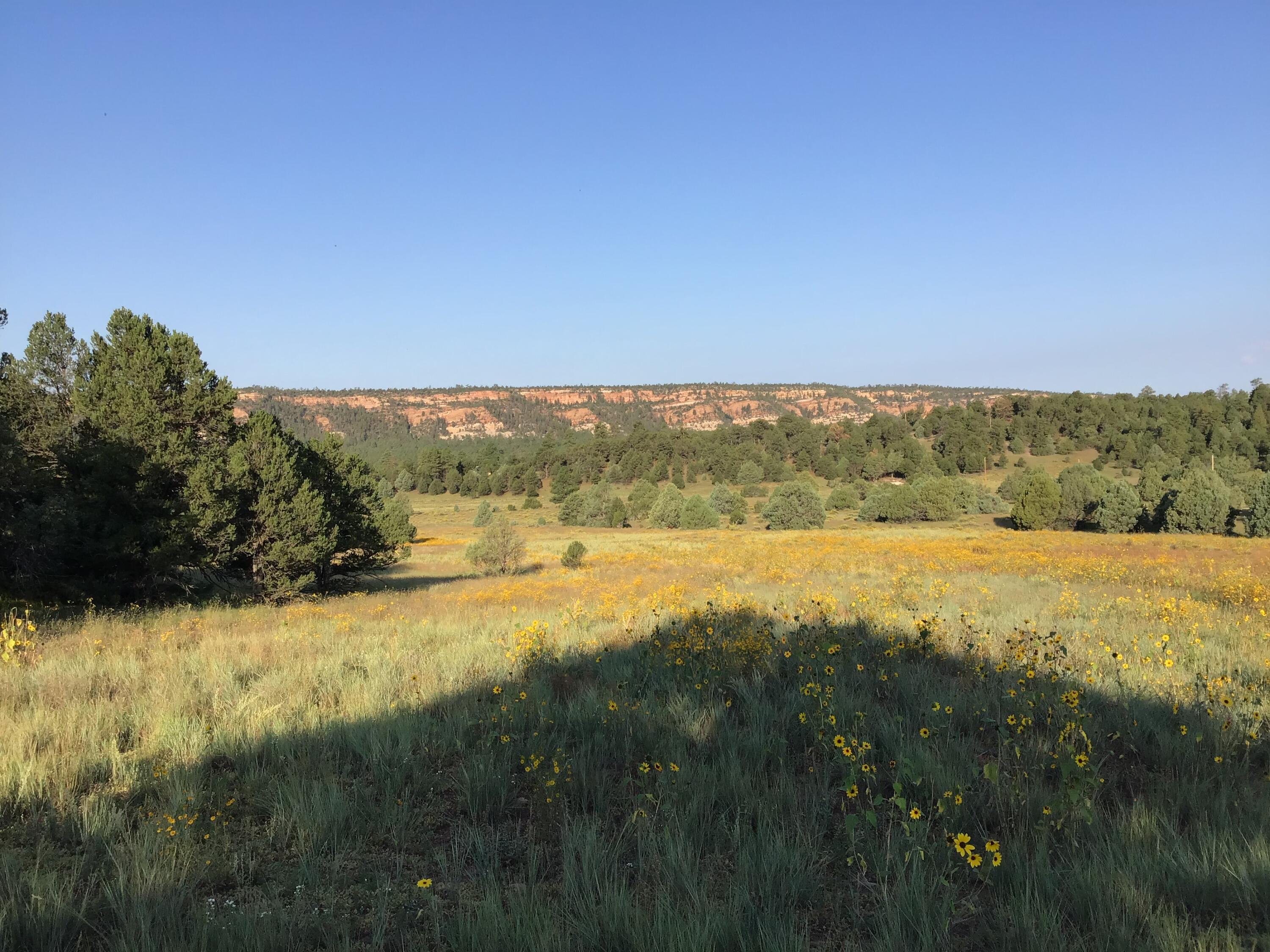 Lot 14 E Elk Drive, Ramah, New Mexico image 4