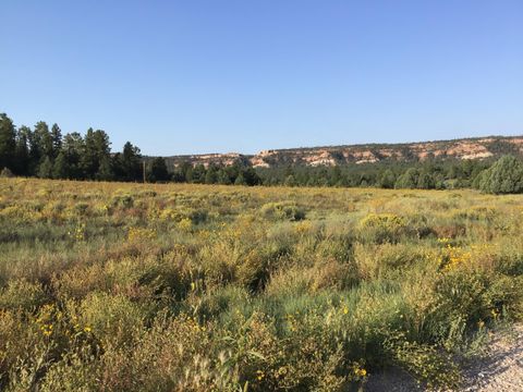 Vacant Land For Sale - LOT 14 E Elk Drive<br/> Mckinley County, Ramah, NM 87321