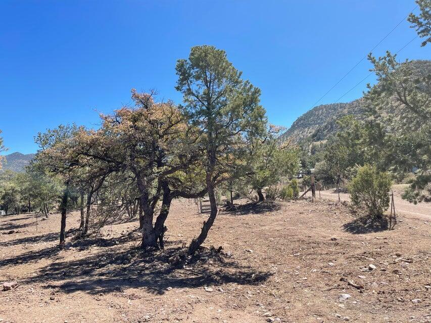 175 Hop Canyon Road, Magdalena, New Mexico image 45