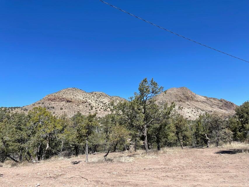 175 Hop Canyon Road, Magdalena, New Mexico image 47