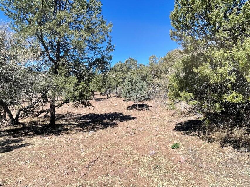 175 Hop Canyon Road, Magdalena, New Mexico image 44