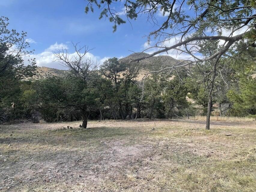 175 Hop Canyon Road, Magdalena, New Mexico image 49